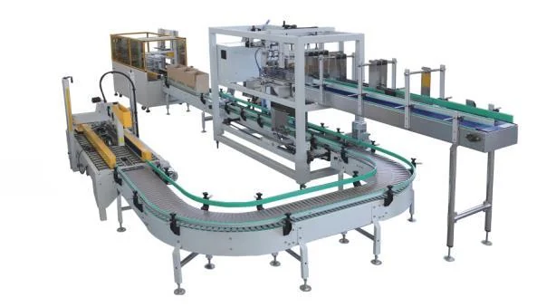 Representative drop-down case packing machinery